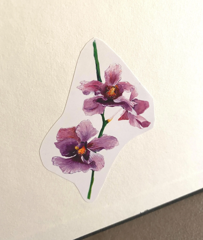 Vanda Miss Joaquim Orchid Sticker