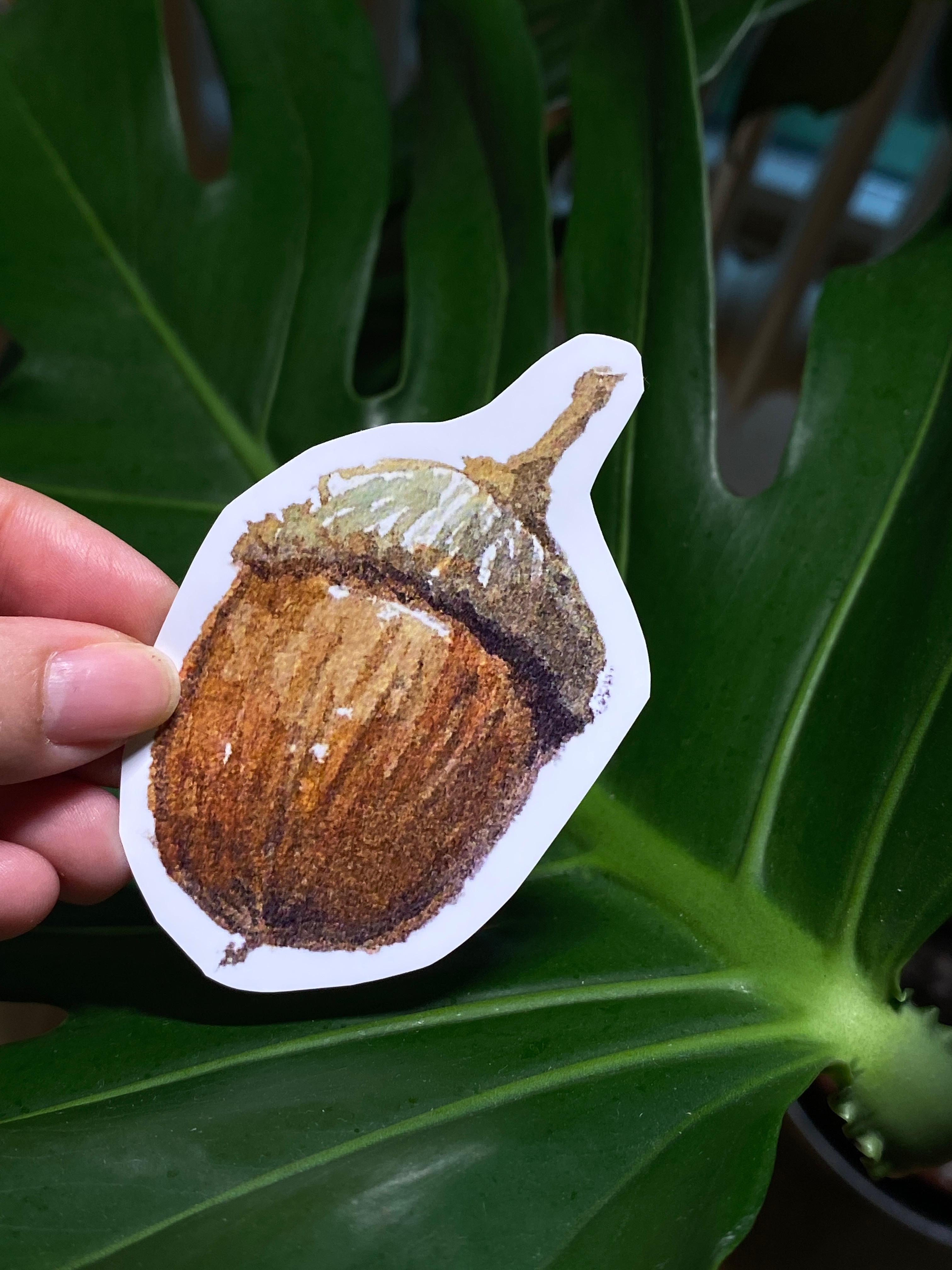 Autumn Forest Animal Sticker Set