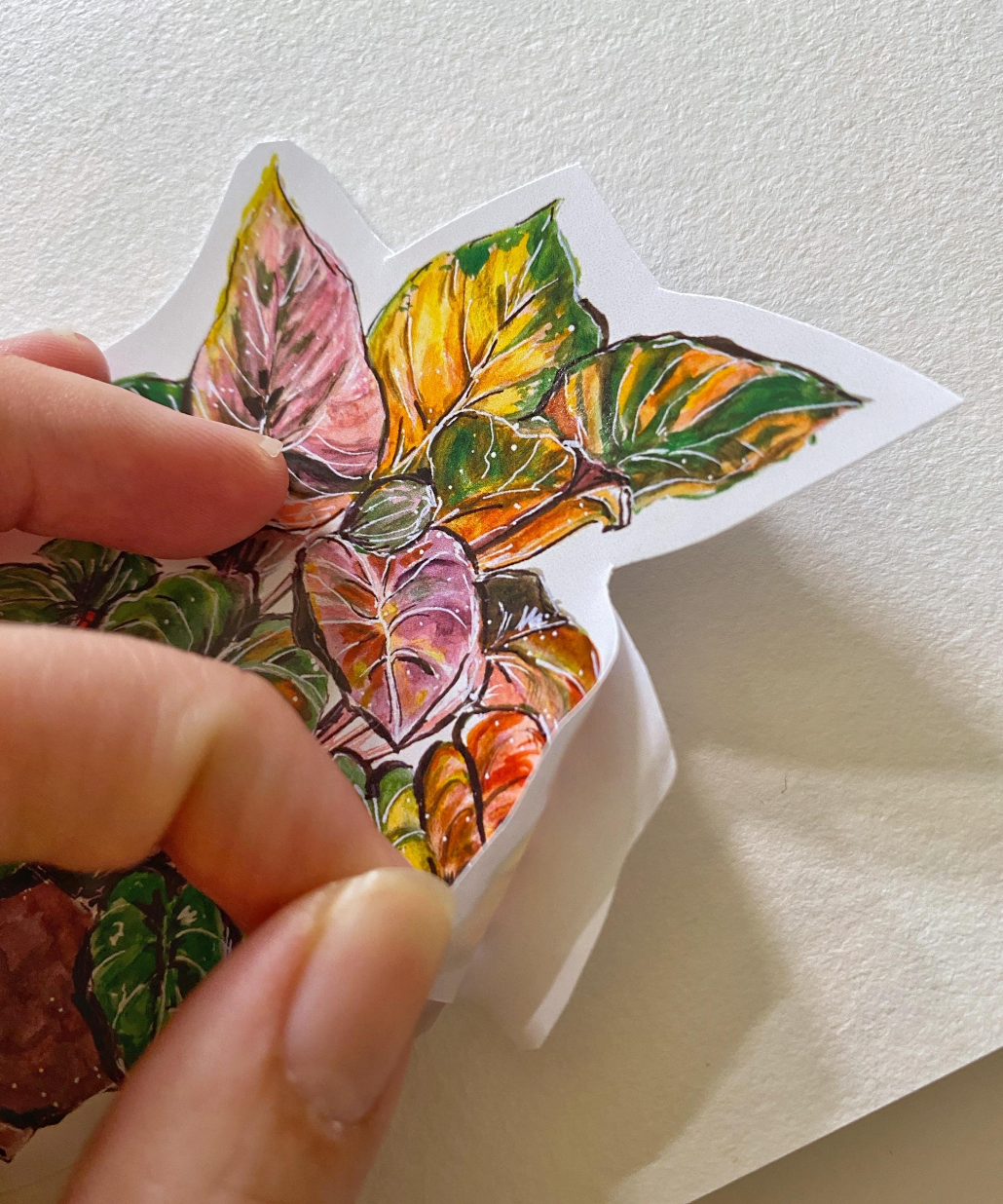 Philodendron plant Sticker