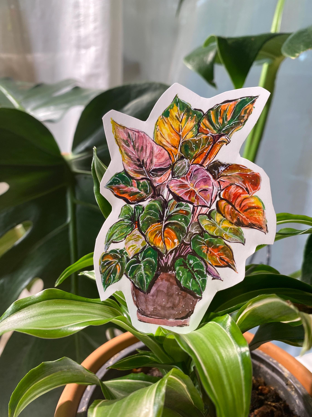 Philodendron plant Sticker
