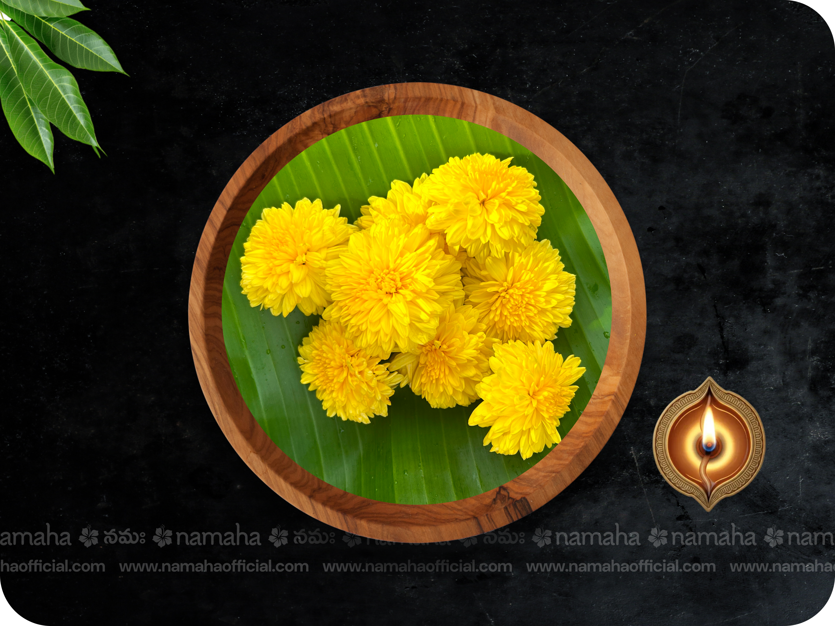 Yellow Chamanthi  (50gm) - Single Variety