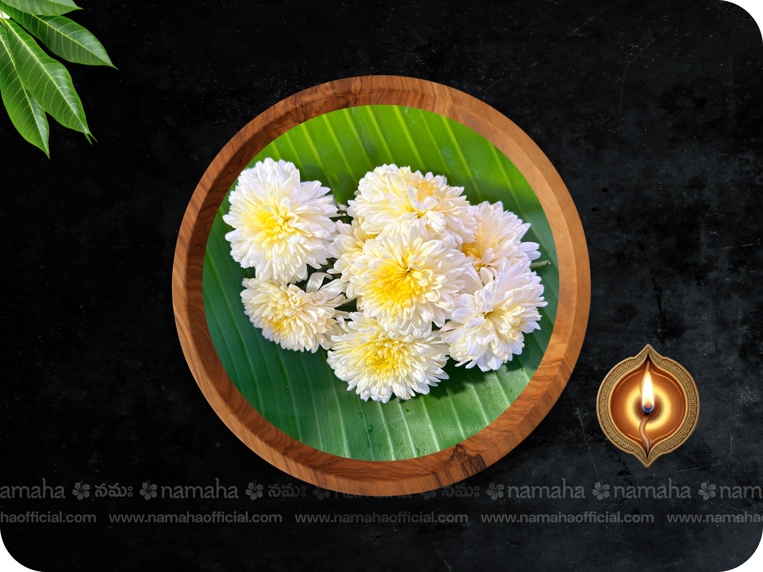 White Cent Chamanthi | 30-Day Daily (50gm) - Single Variety