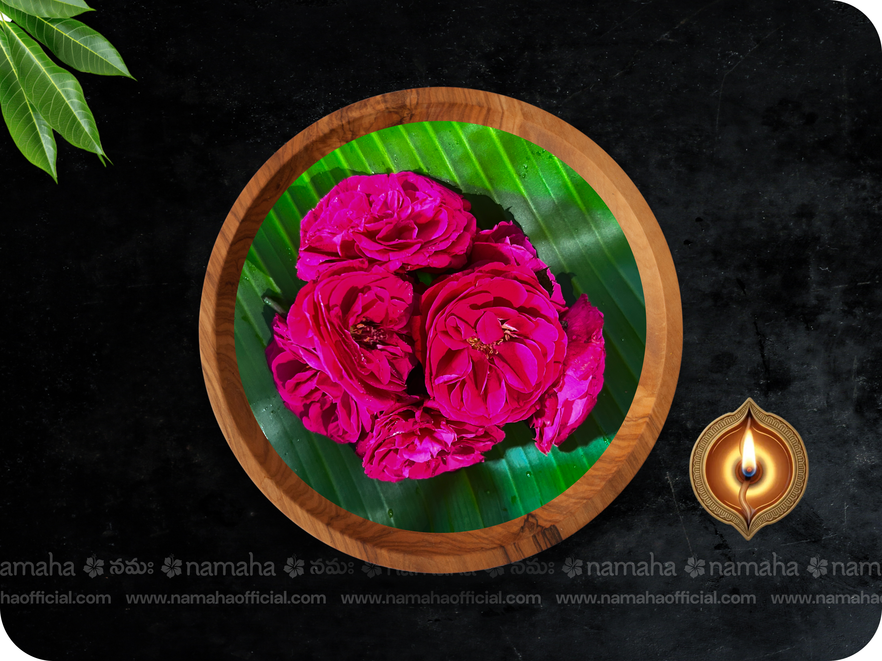 Cent / Panner Rose| 30-Day Daily (50gm) - Single Variety