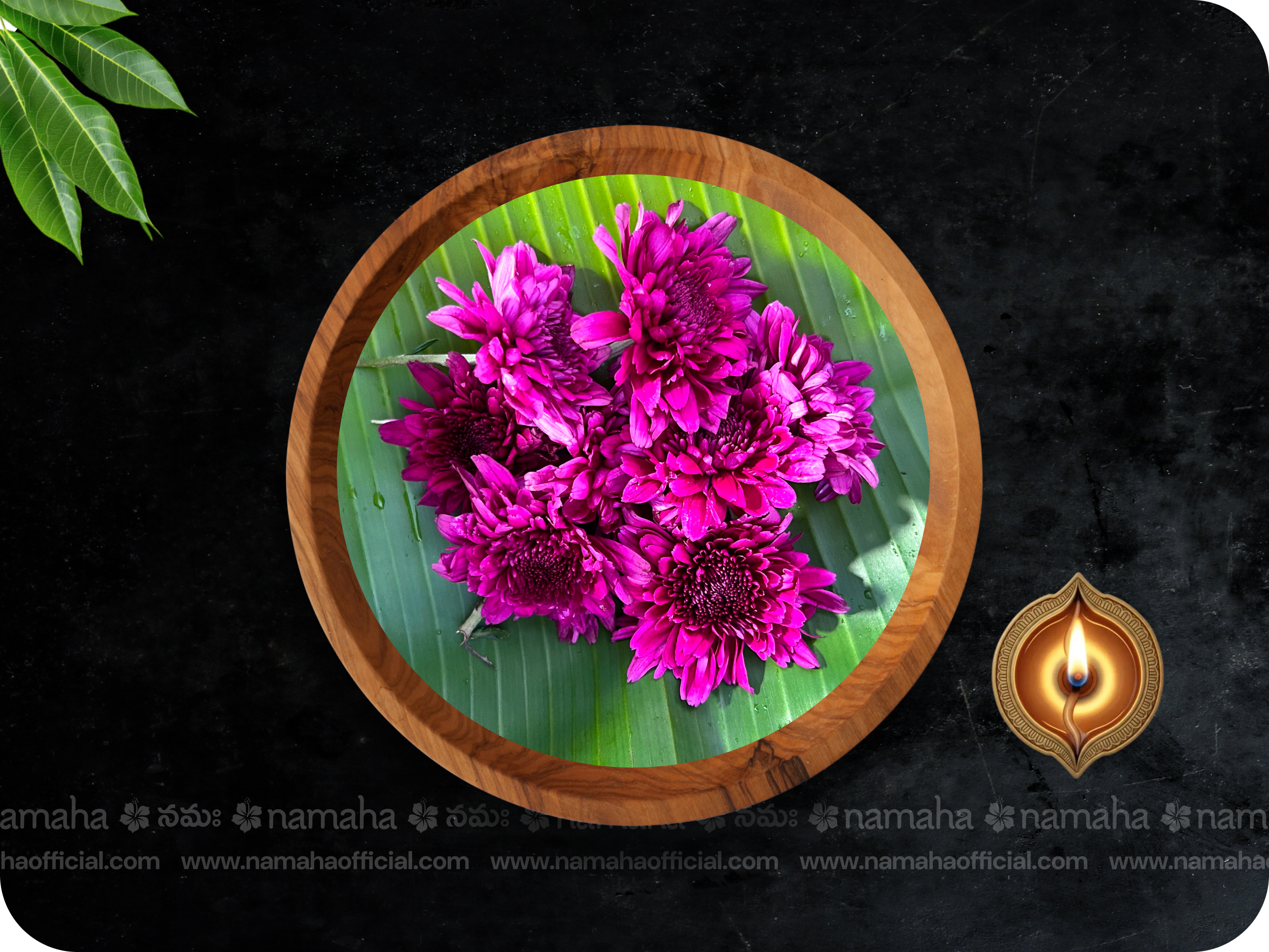 Purple Chamanthi | 30-Day Daily (50gm) - Single Variety