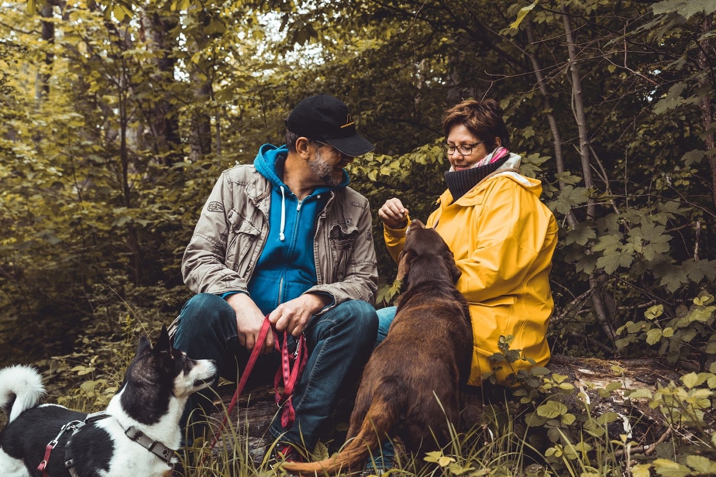 Achtsamkeit mit Hund