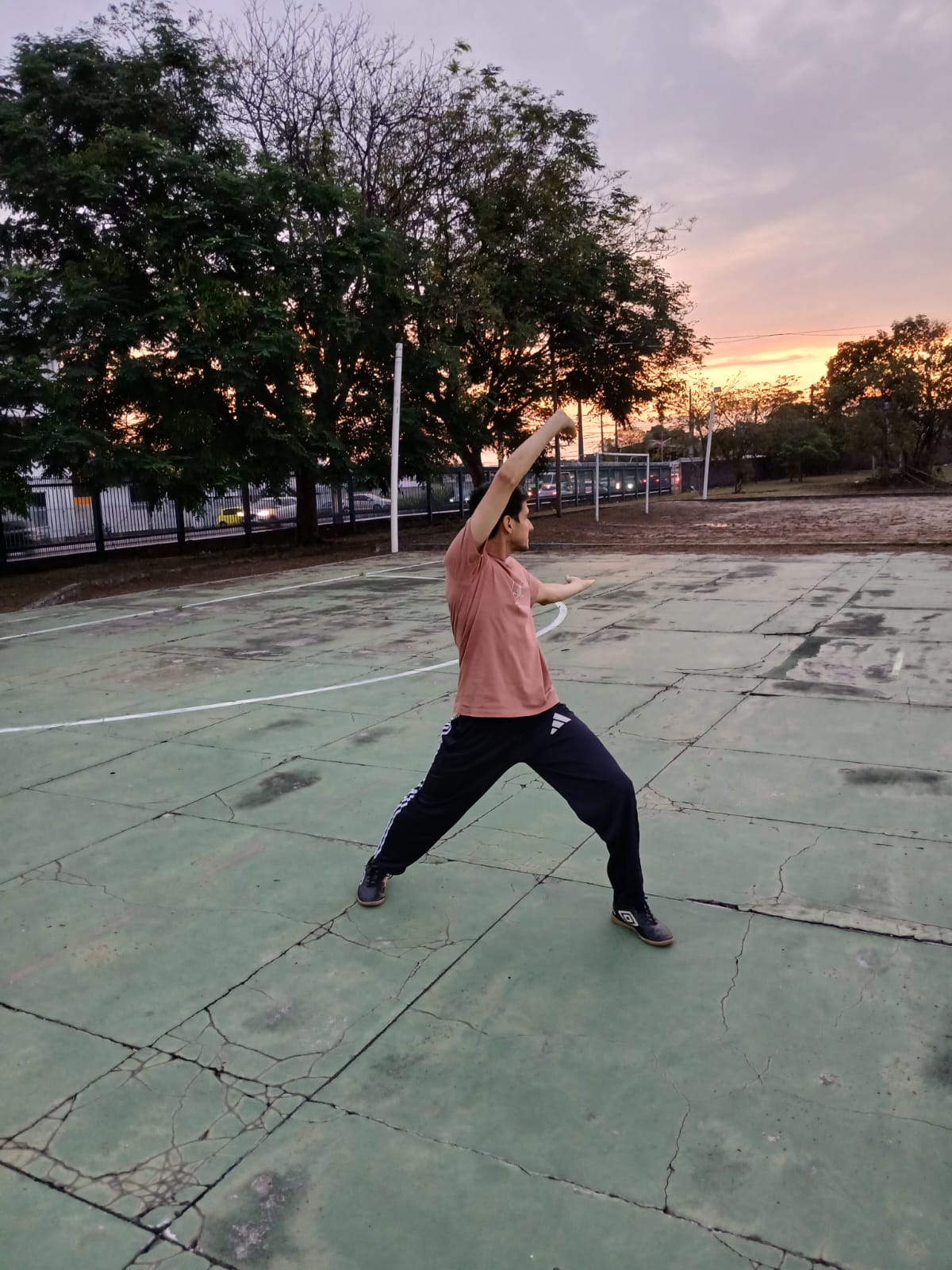 Oficina de Qigong Wu Qin Xi - "Os 5 animais"