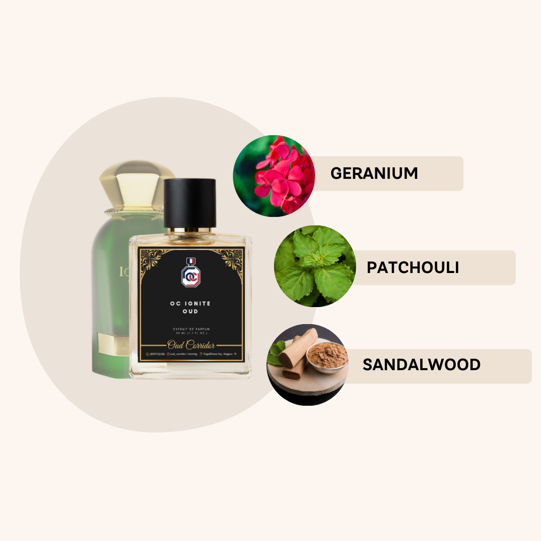 OC IGNITE OUD