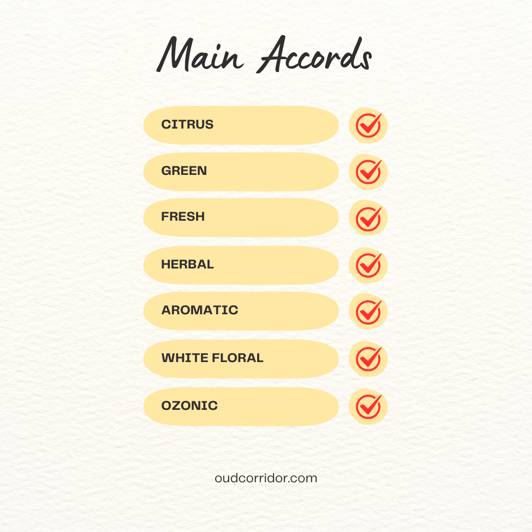 OC AQUA ALLEGORIA TEAZZURRA