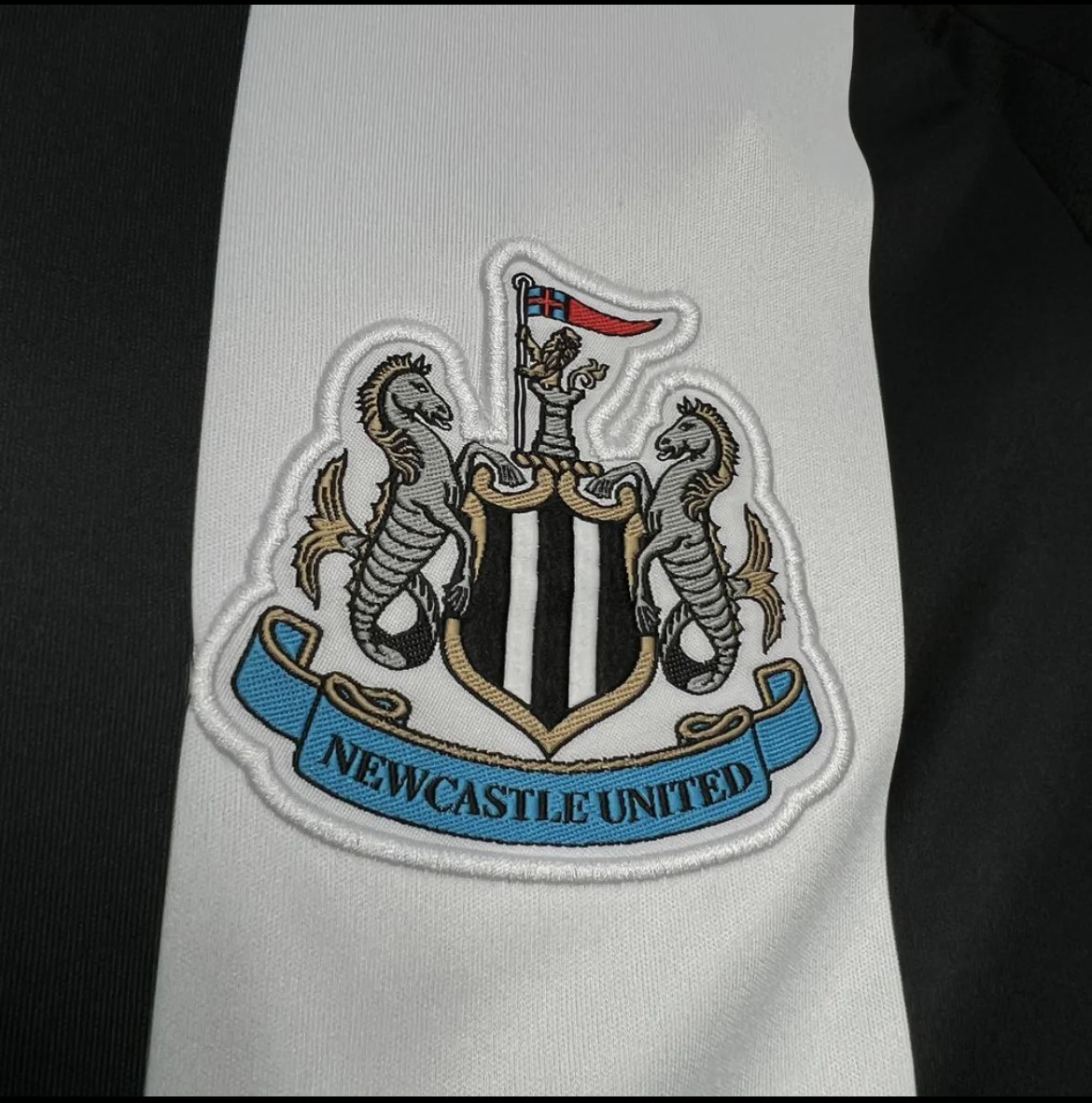 Newcastle 2025 domicile
