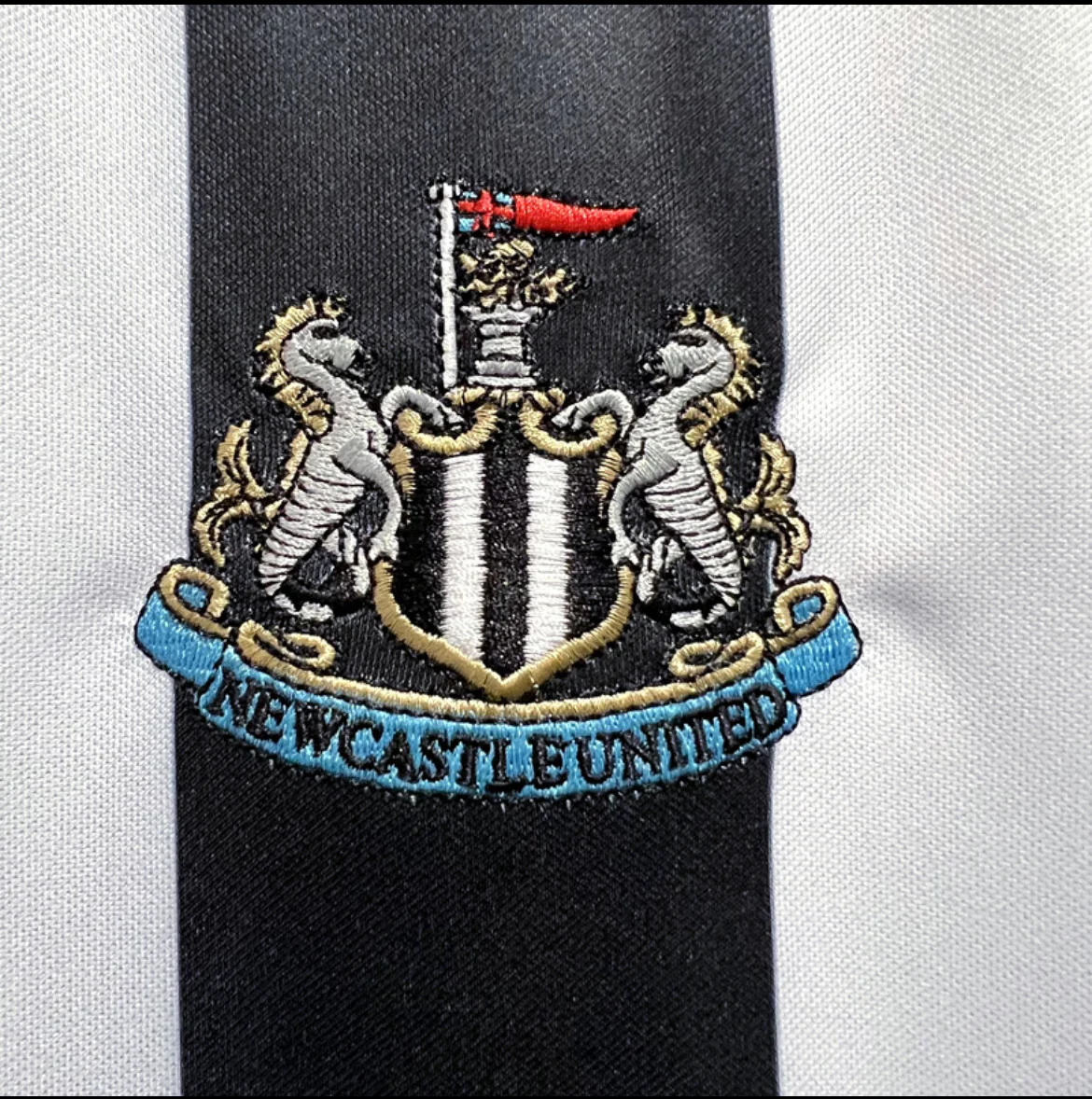 Newcastle 2024 domicile