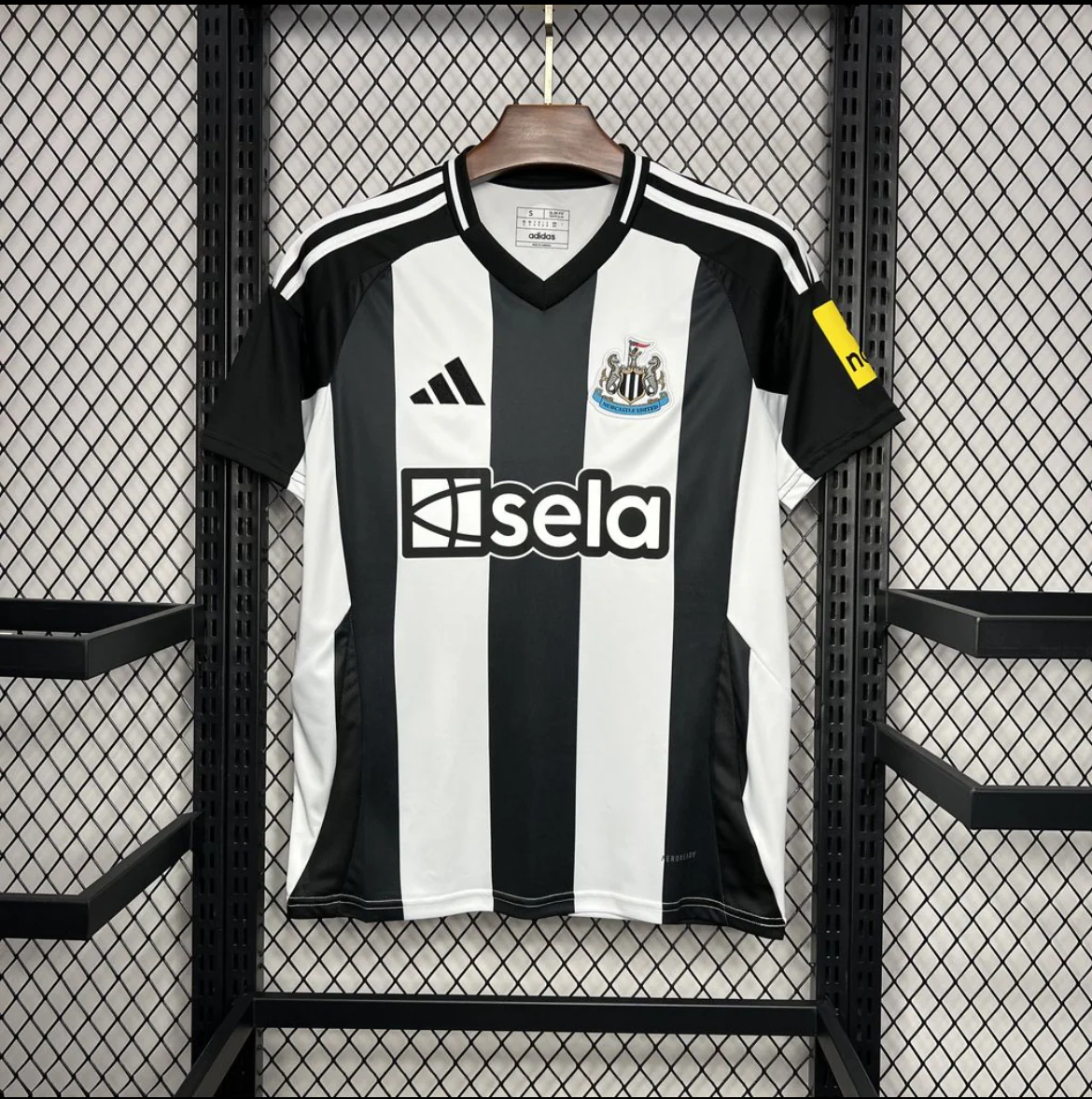 Newcastle 2025 domicile