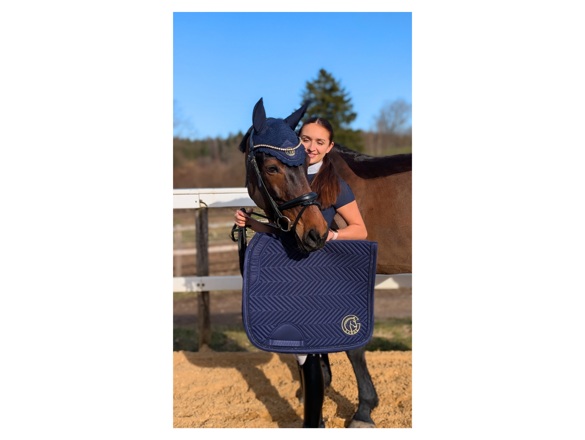 Dressurschabracke navy blau gold Glitter