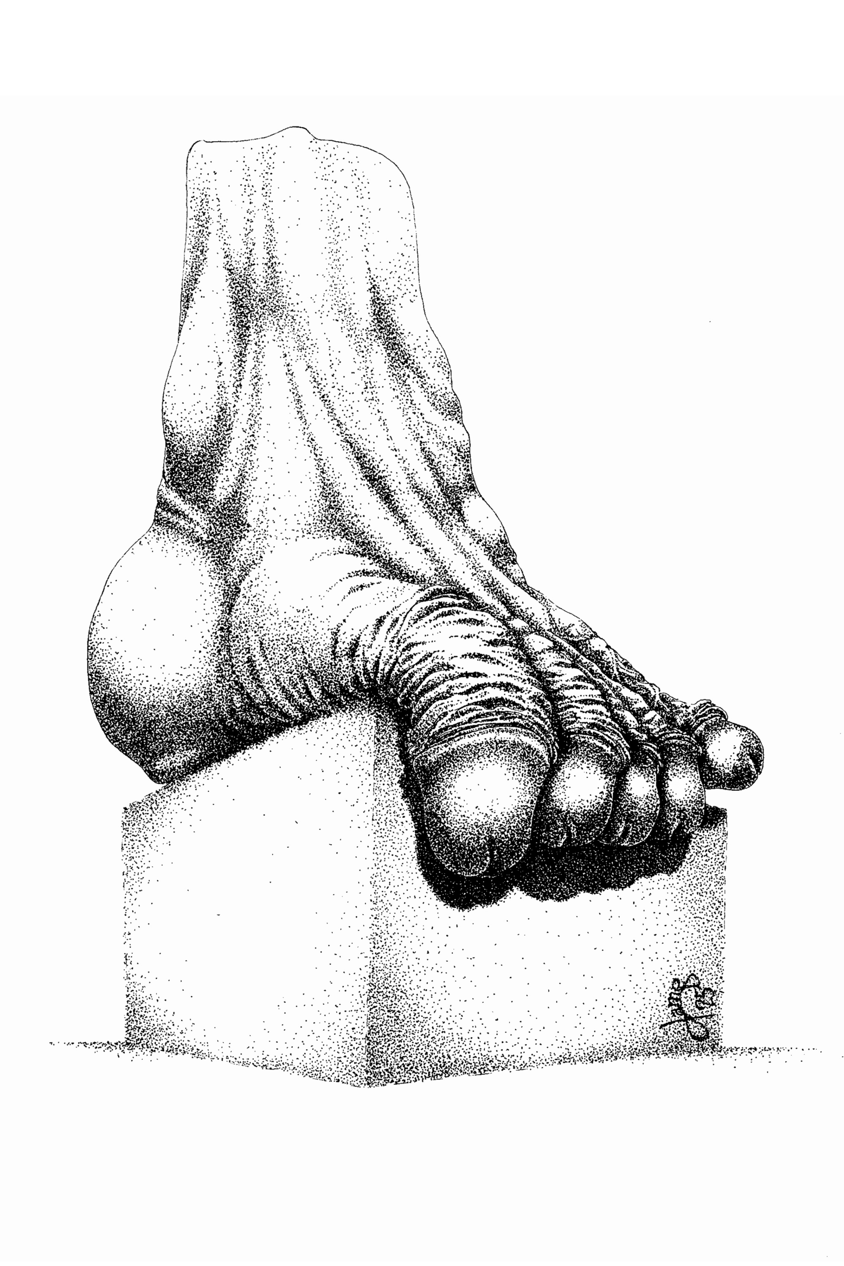 Le Piénis