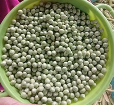 Alverja - 500gr(1 libra)