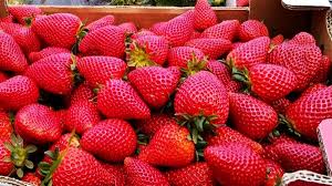 Fresa Extra - 500 gramos