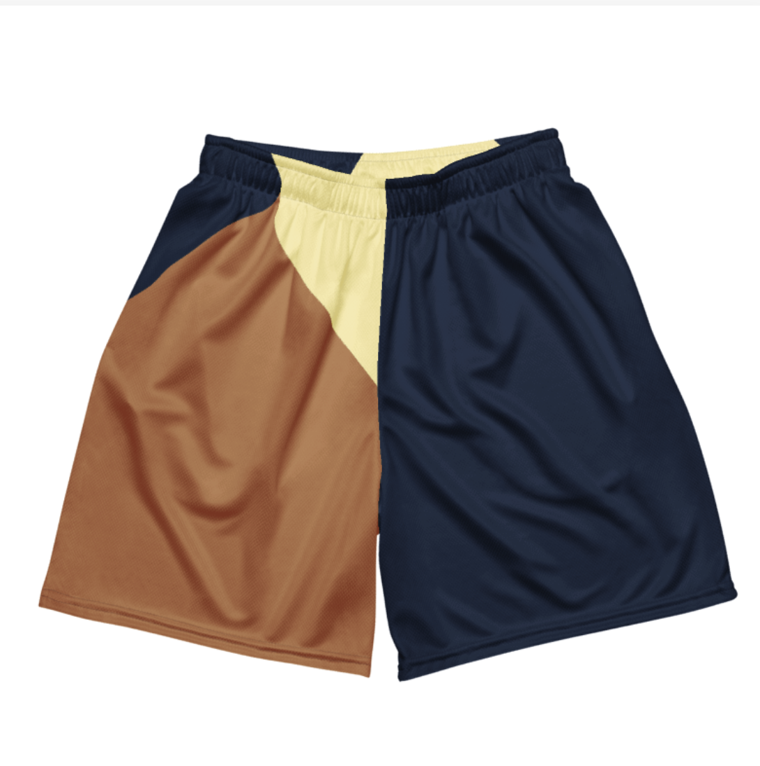 Colorblock Athletic Shorts
