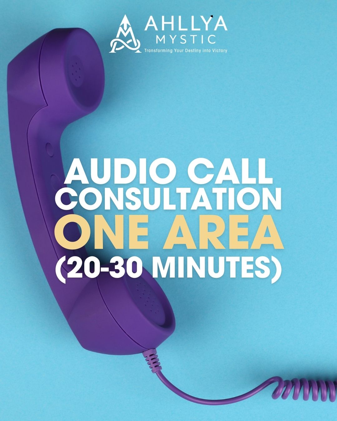 Audio Call Consultation (One Area)