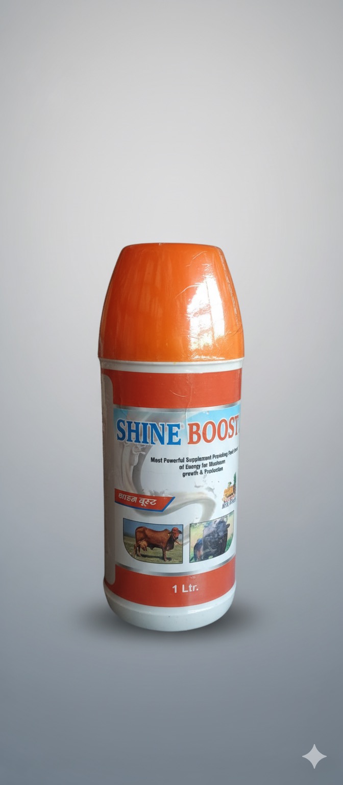 Shine Boost 1 LTR