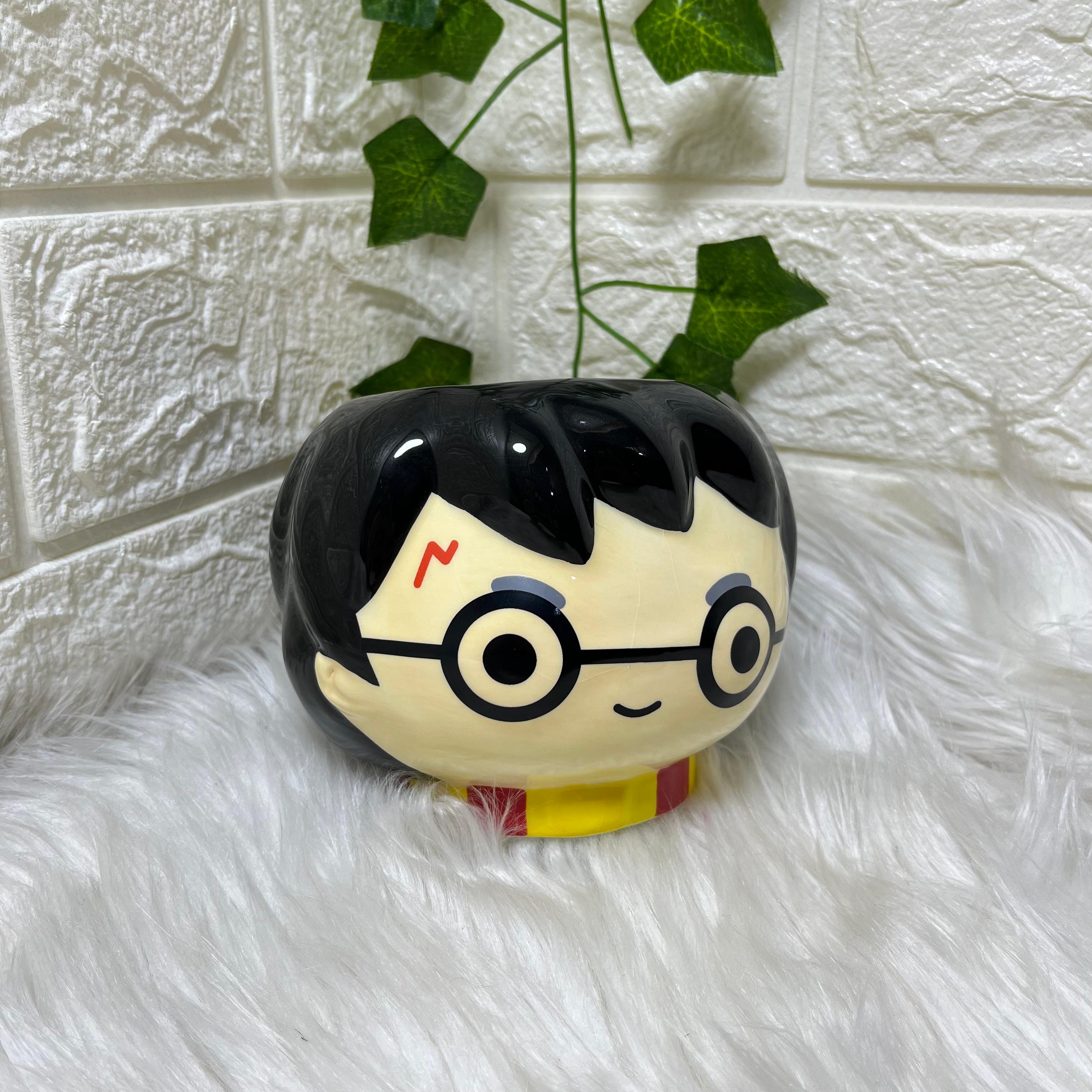 Harry Potter Mini Planter