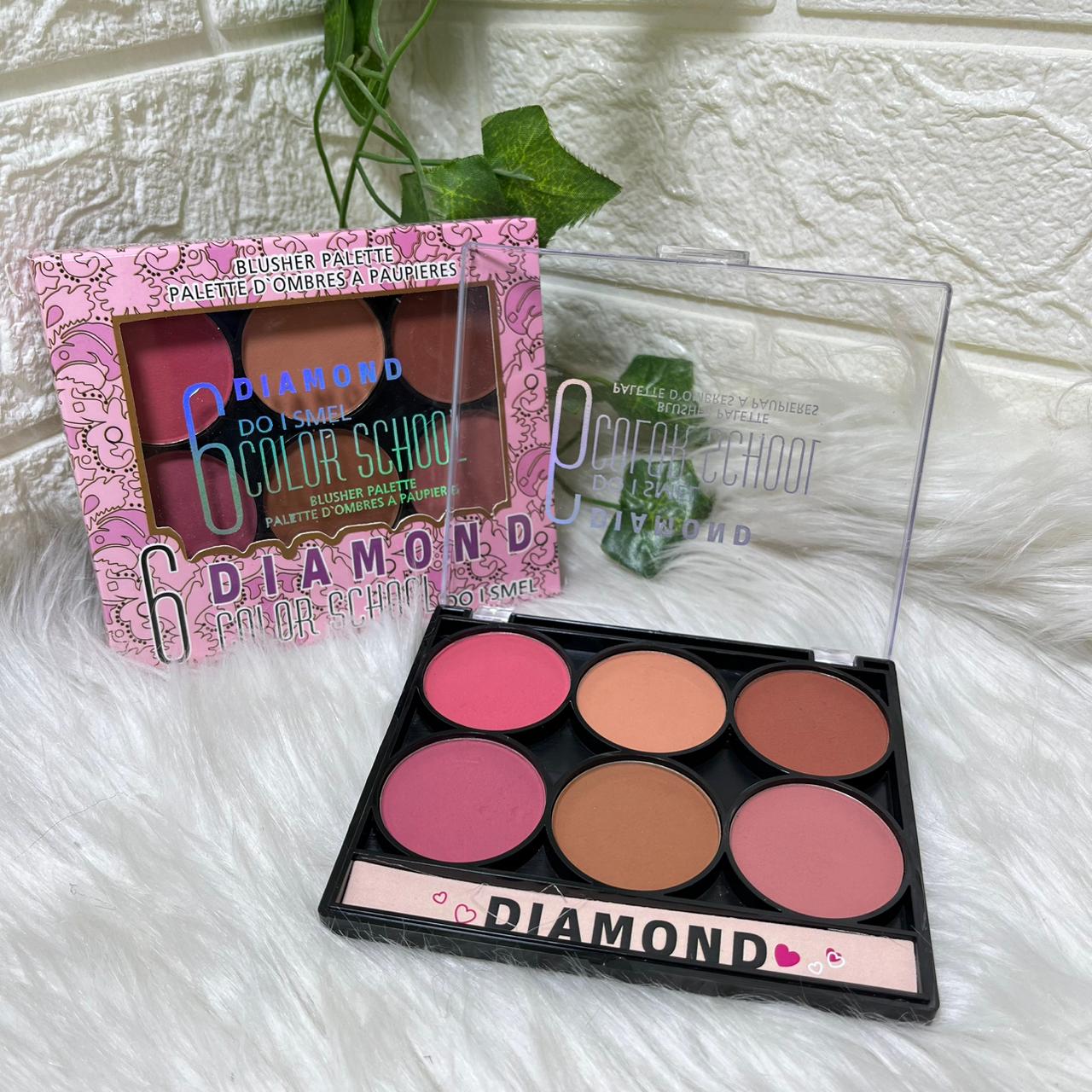 Diamond Color School Blusher Palette