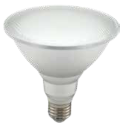 FOCO LED PAR30 GENERAL LED