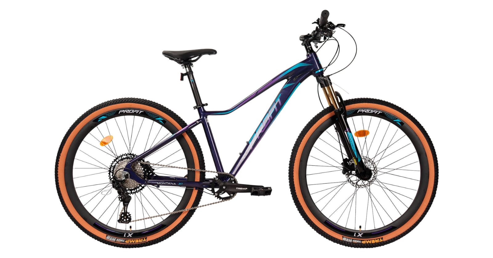 Bicicleta de montaña