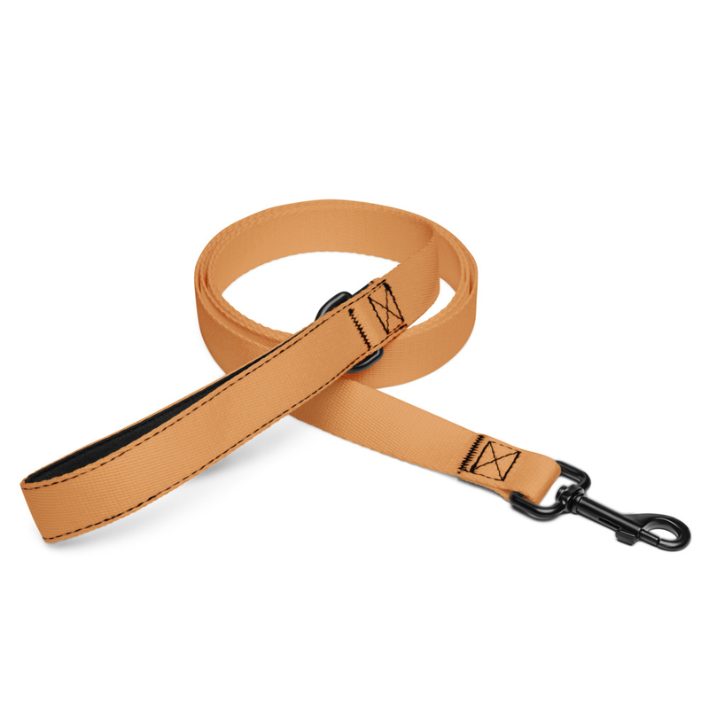 Dog leash