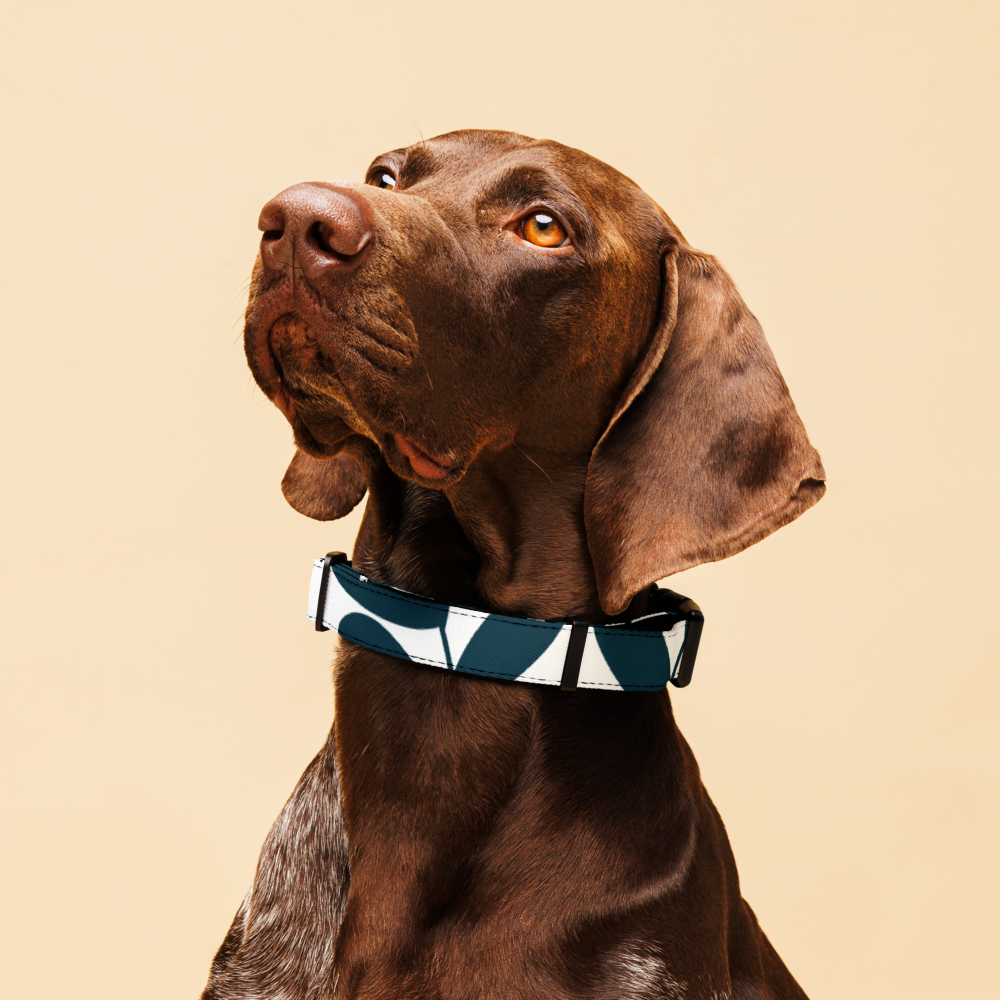 Geometric Pattern Dog Collar