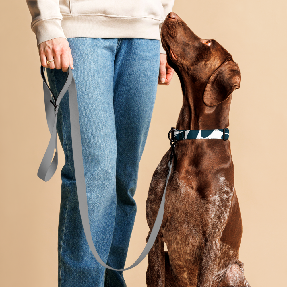 Geometric Pattern Dog Collar