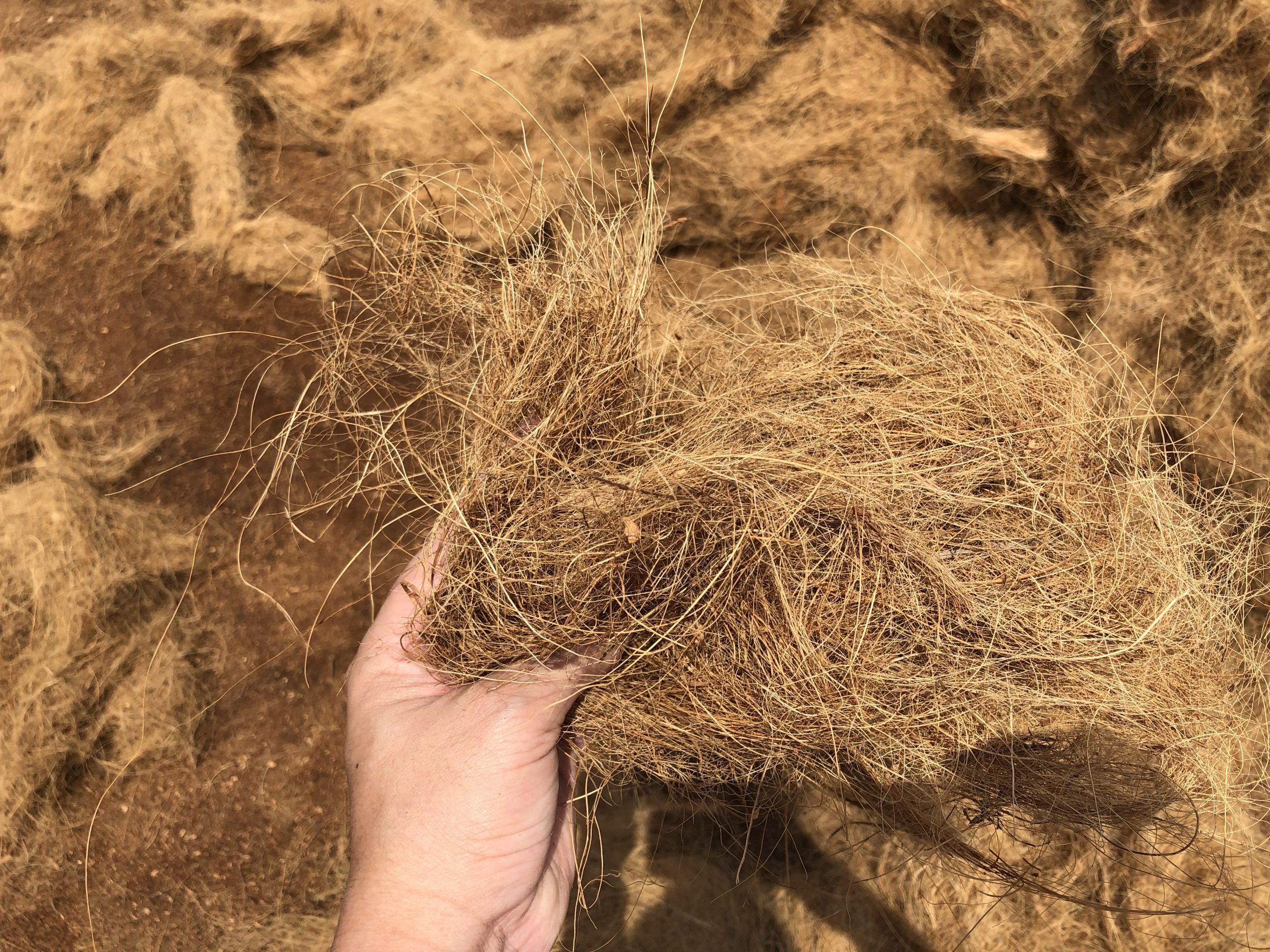 Coco Fiber