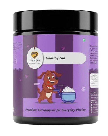 Healthy Gut – Advanced Gut Support (200 Gms)