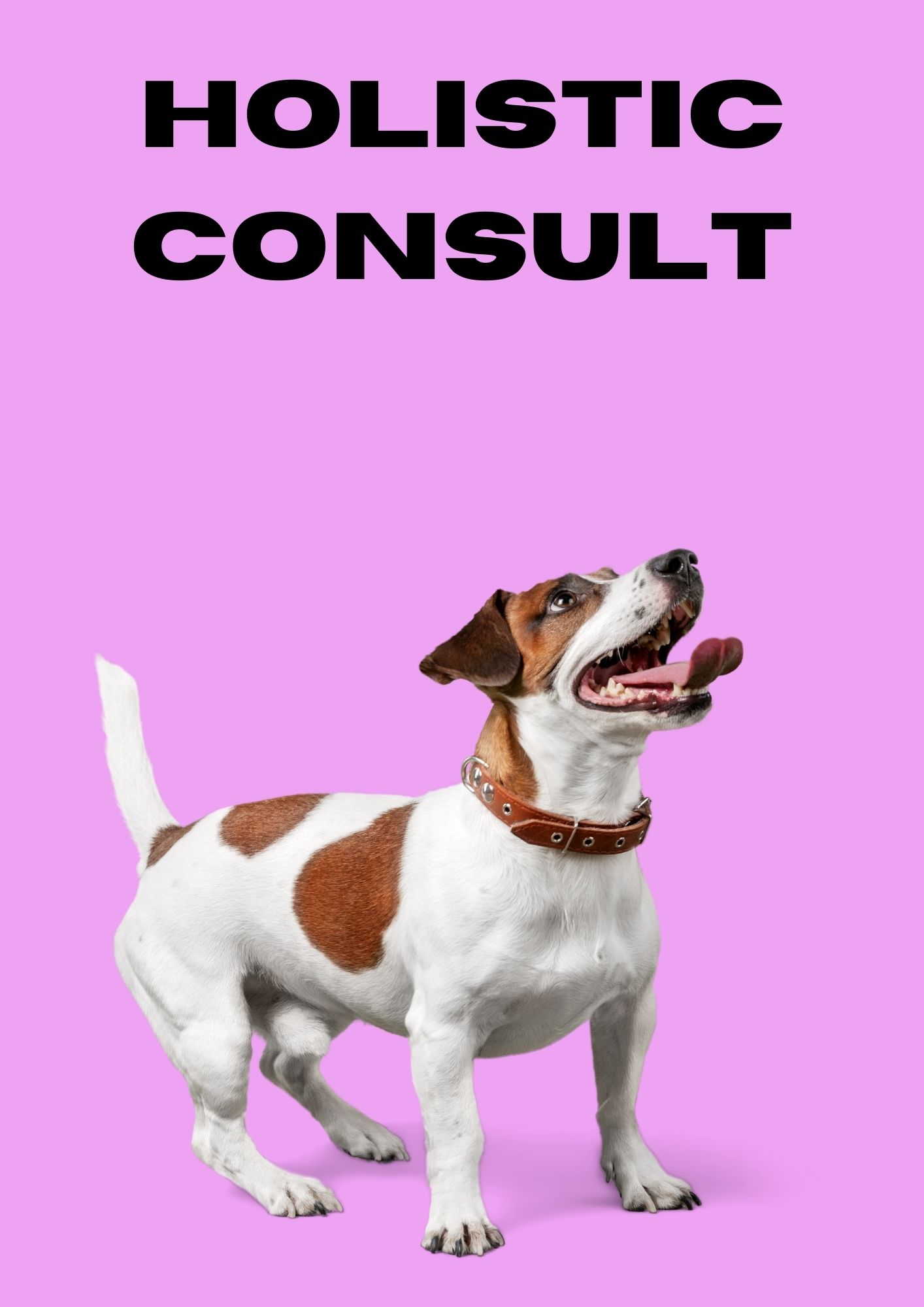 Holistic Consult