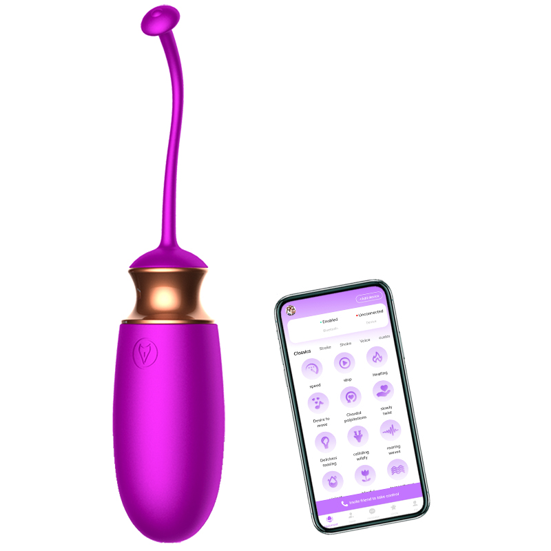 App-Controlled Vibrating Egg