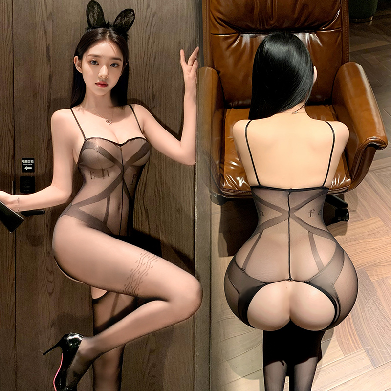 Sheer Mesh Bodysuit Lingerie