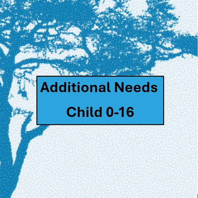 ADC3. Additional Needs Child. Age 0-16. A decorated flowerpot or a painted pebble