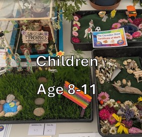 CH5. A Pot Plant I look after – maximum pot size 20cm (8”)