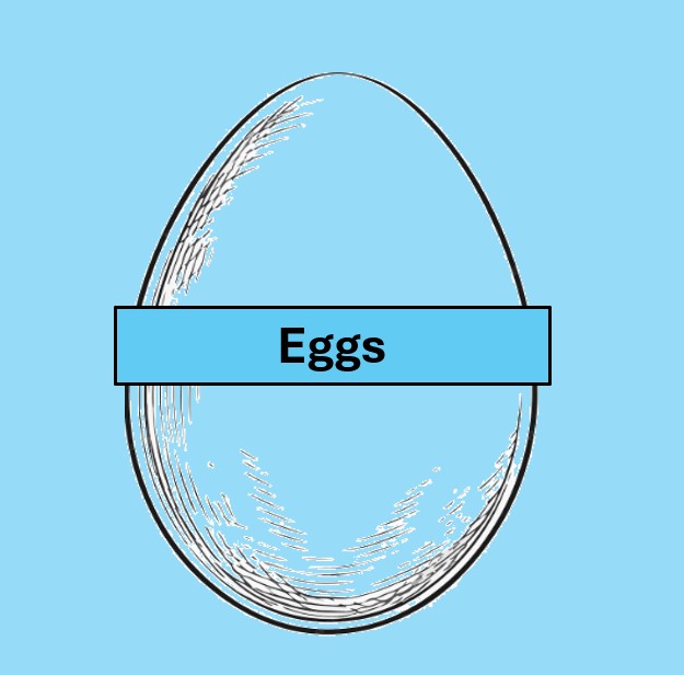 E3. Three Eggs – Other than Hens’