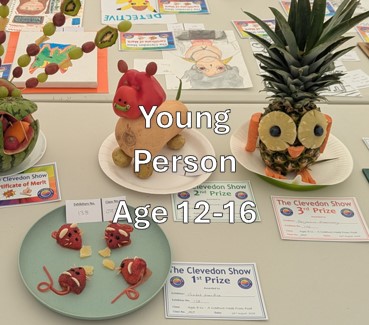 YP9. Age 12-16 Class. A Photo – Blue