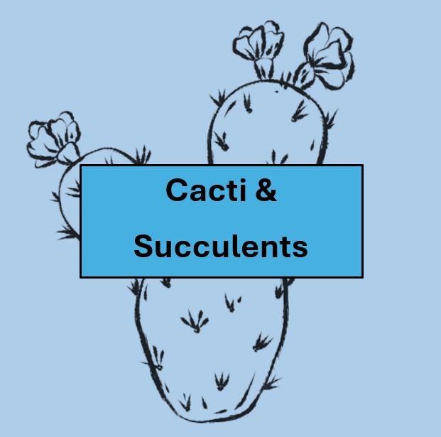 CS3. Three cacti or three succulents - distinct species - separately potted
