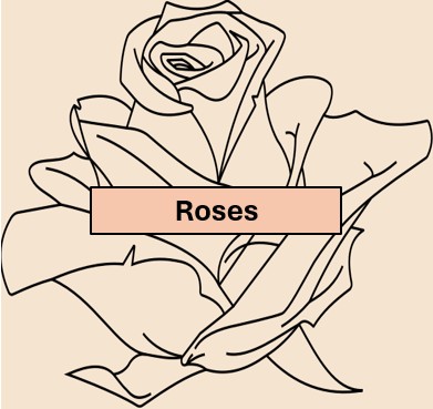 R3. One vase, one stem, cluster rose.