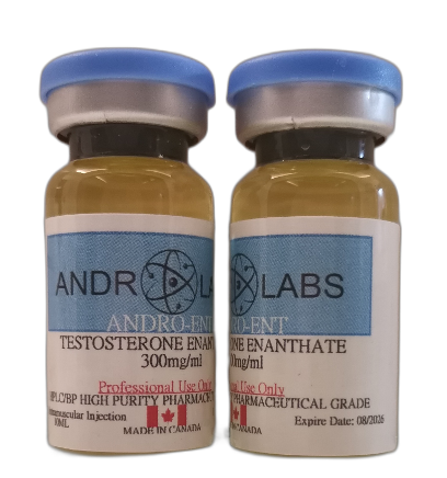 Andro Labs Testosterone Enanthate 300mg/ml 10ml