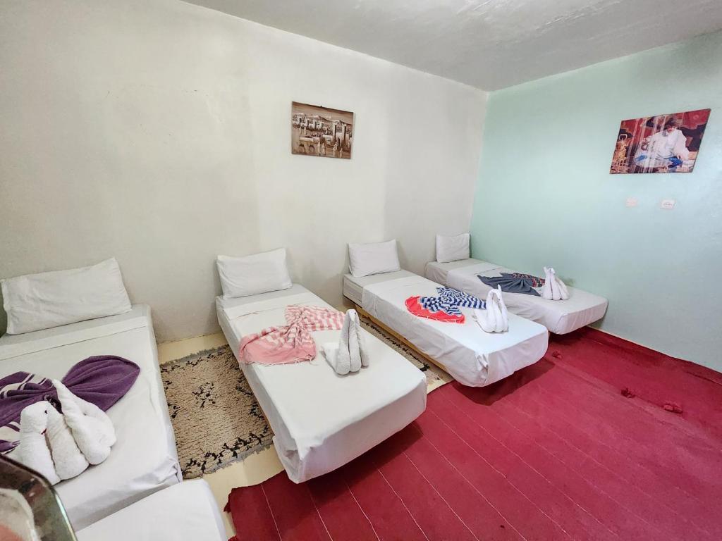 Lit Simple dans Dortoir Mixte