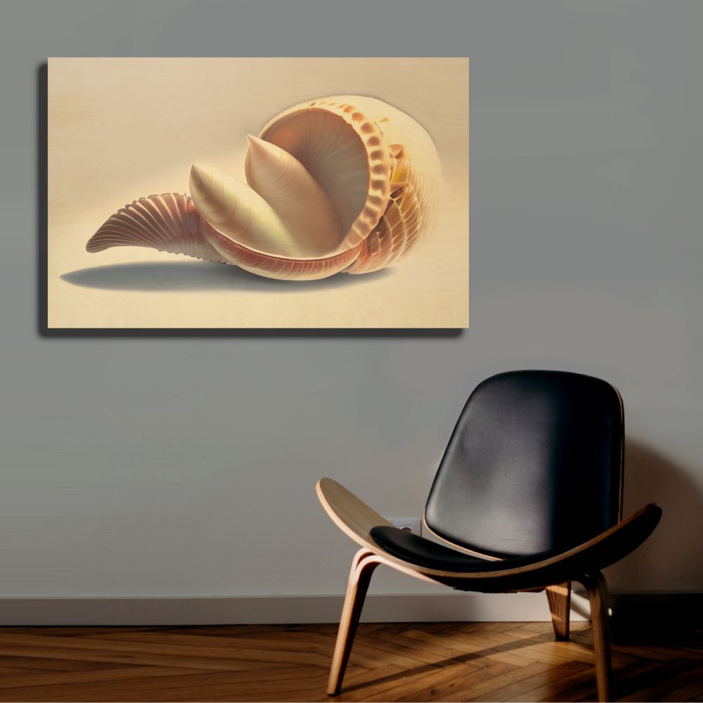 Abstract Seashell Art for Coastal Homes