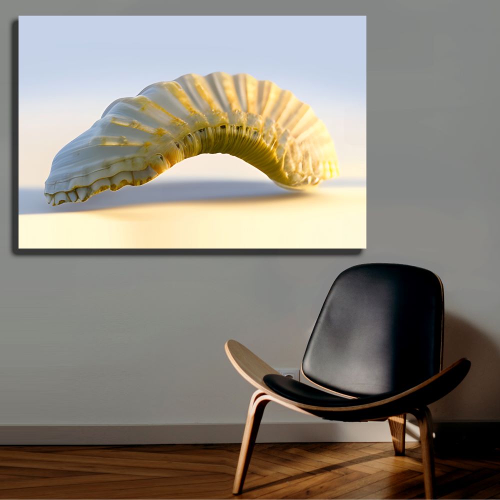 Authentic Nautilus Shell Wall Art