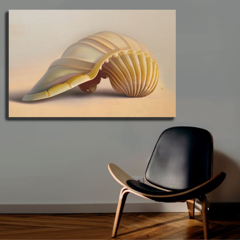 Seashell Wall Art Nature Inspired Decor