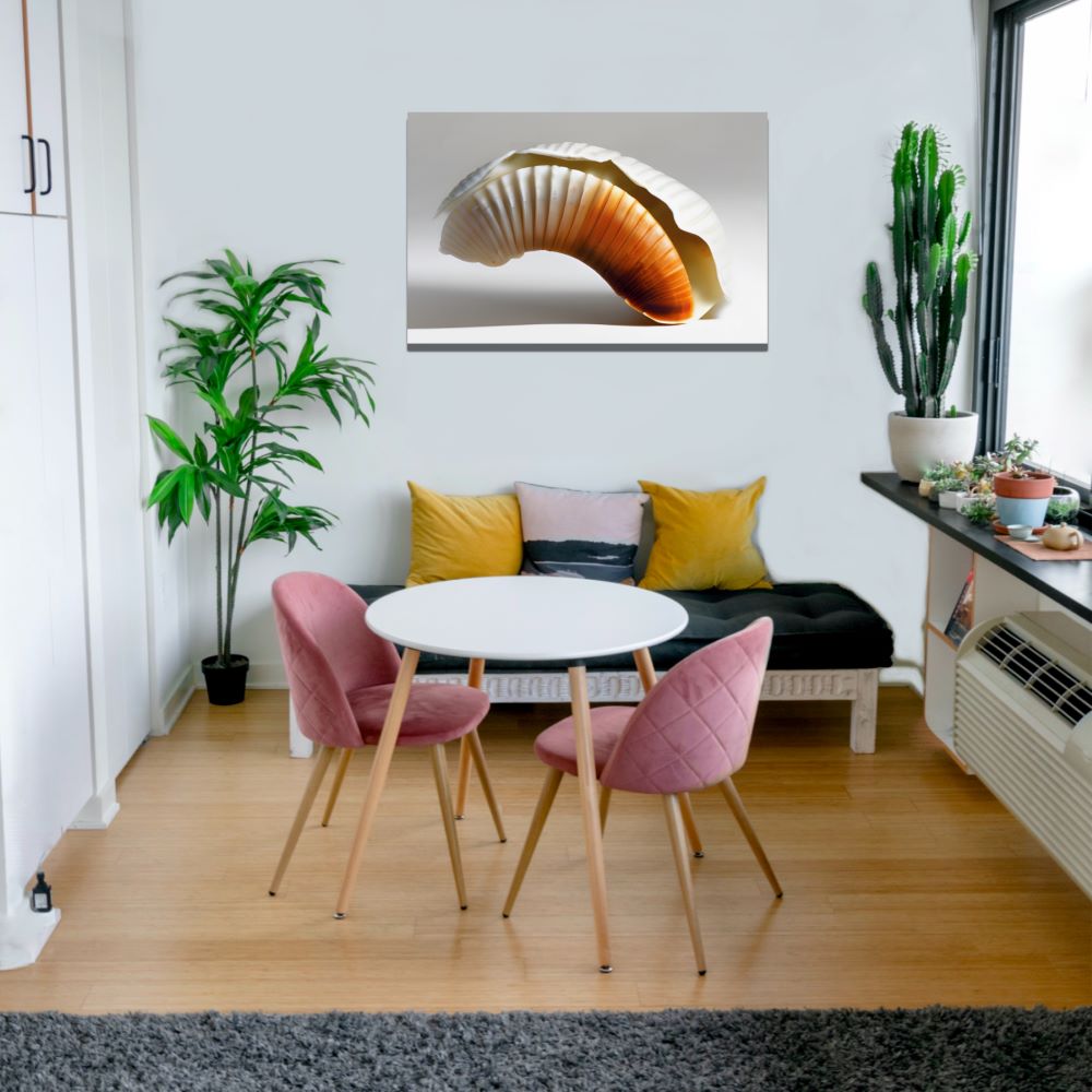 Elegant Seashell Coastal Wall Decor