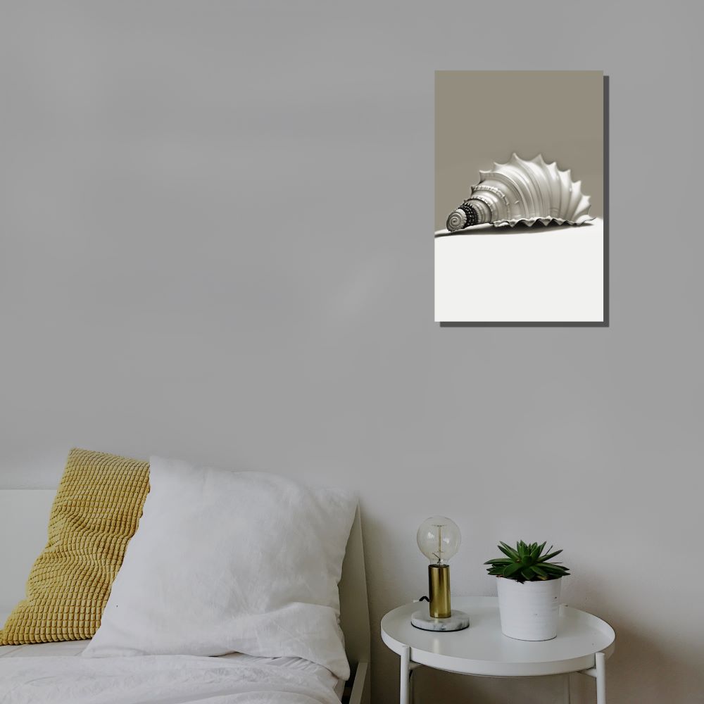 Black and White Seashell Canvas