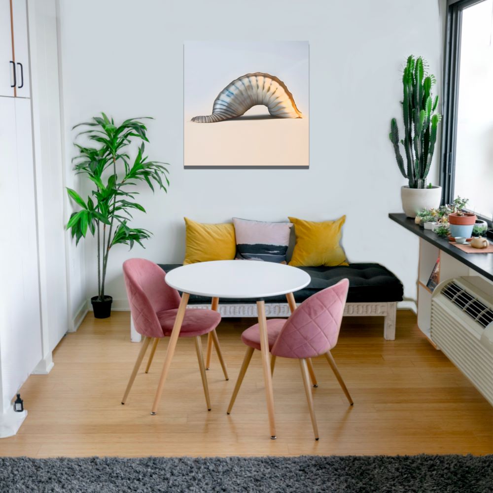 Seashell Sculpture Wall Art