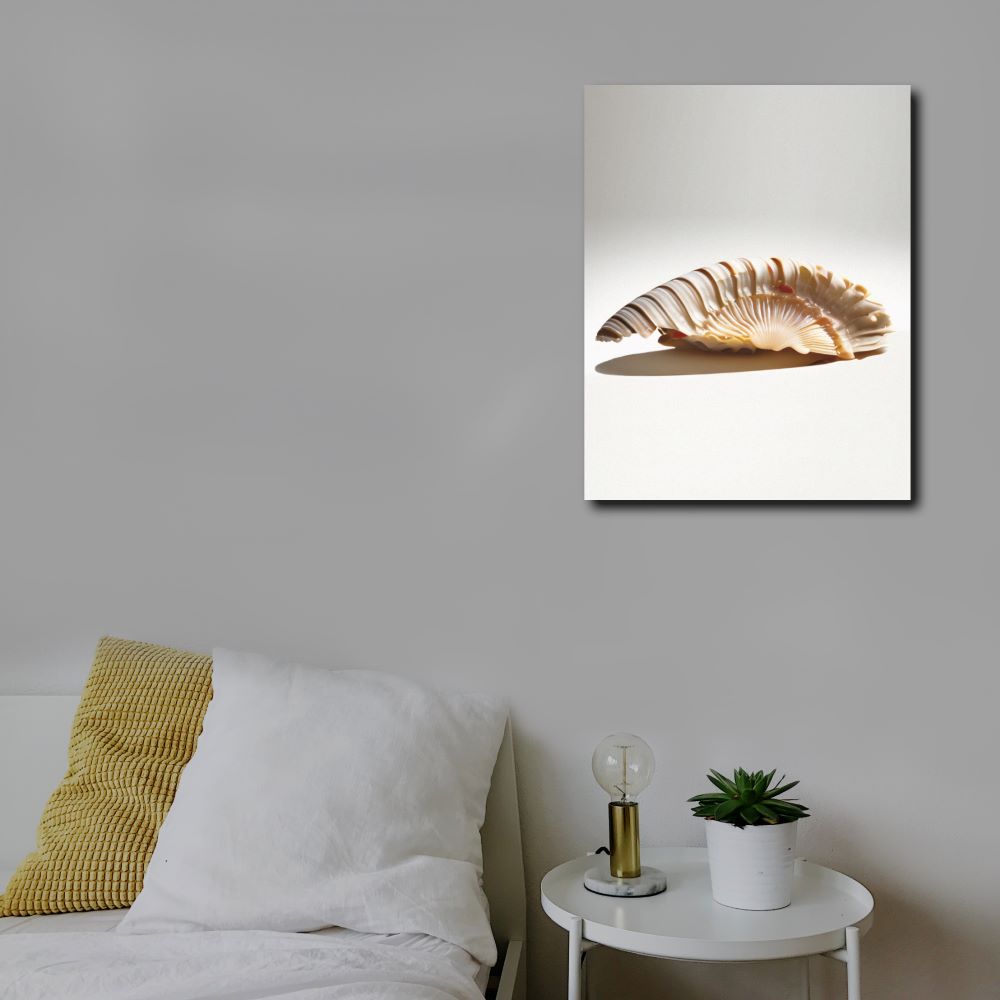 Nautilus Shell Wall Decor