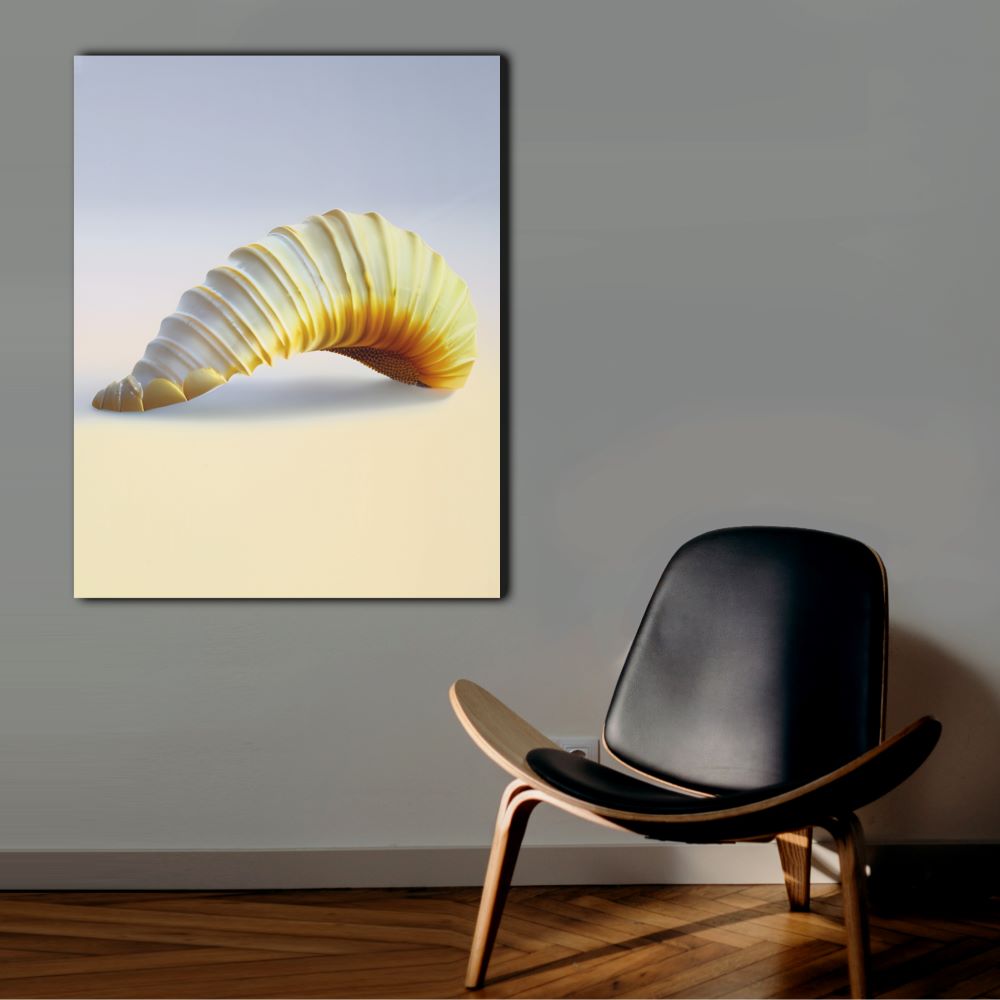 Seashell Spiral Coastal Wall Art Decor